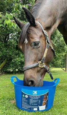 Dallas Keith Equine Flexi Tub Menthol 12.5kg