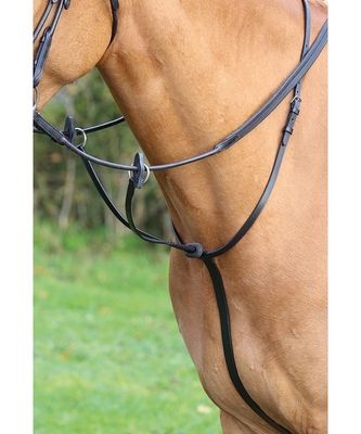 Aviemore Running Martingale