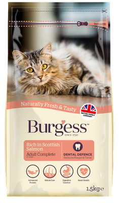Burgess Adult Cat Scottish Salmon