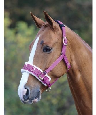 Fleece Lined Lunge Cavesson