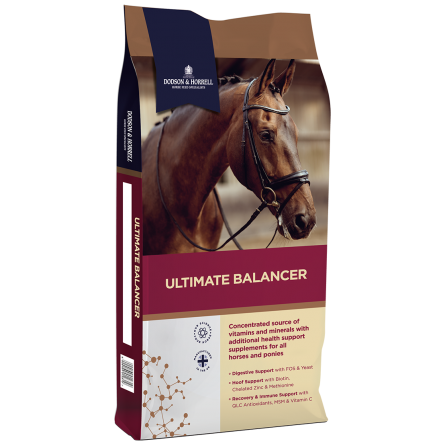 Dodson &amp; Horrell Ultimate Balancer 20kg