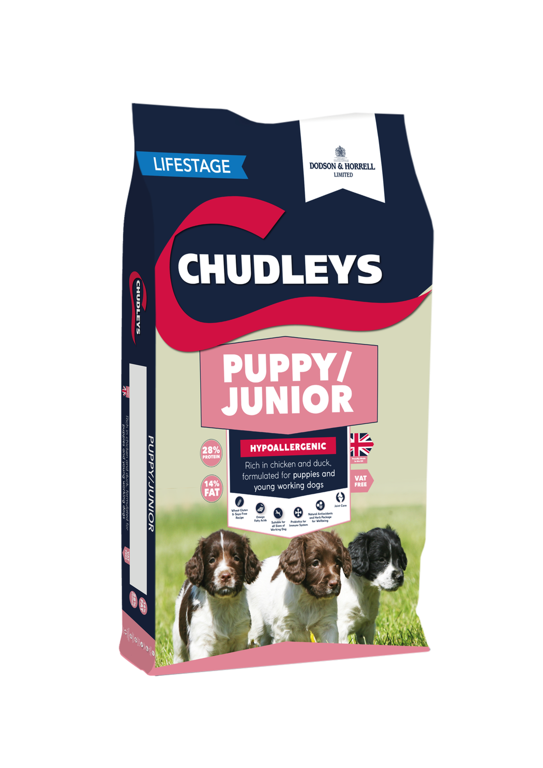 Chudleys Puppy/Junior