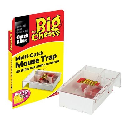 Big Cheese Mouse Trap Multi Catch