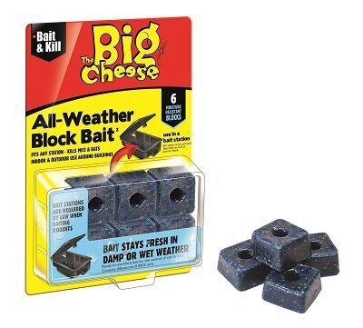 Big Cheese All Weather Bait Blocks 6 x 10g