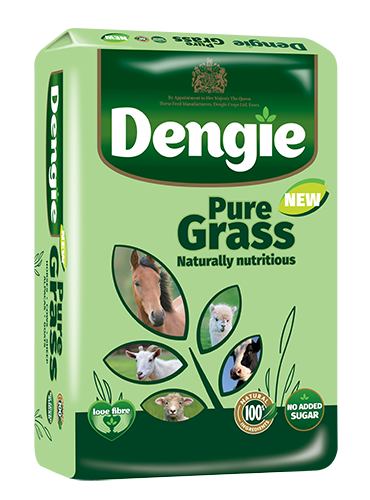 Dengie Pure Grass 15kg