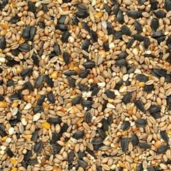 J&amp;J Wild Bird Food 20kg