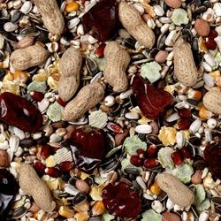 J&amp;J Parrot Food No.1 12.75kg