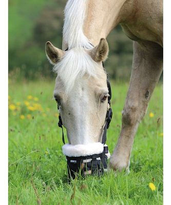 Shire Deluxe Grazing Muzzle
