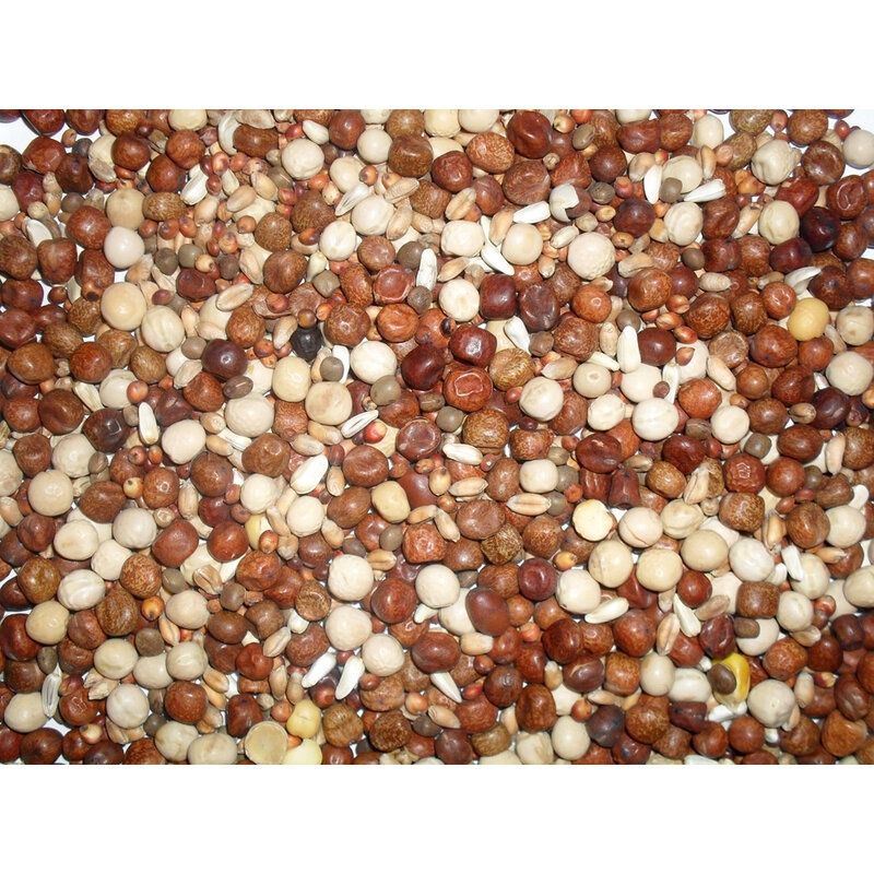 J&amp;J Young Bird Mix No Maize 20kg