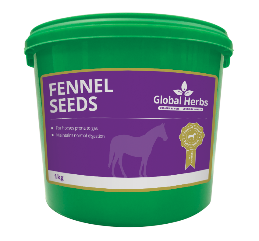 Global Herbs Fennel 1kg