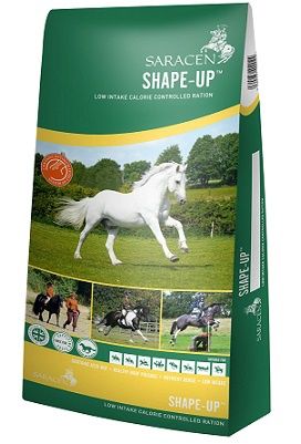 Saracen Shape-Up Balancer 20Kg
