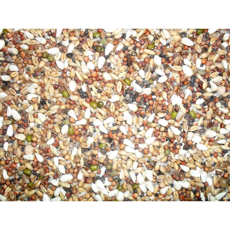 J&amp;J Trapping Mixture Type 66 12.5kg