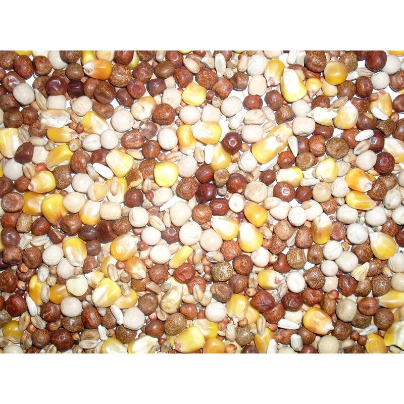 J&amp;J All Rounder Pigeon Corn 20kg