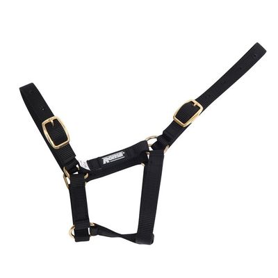 Nylon Foal Headcollar
