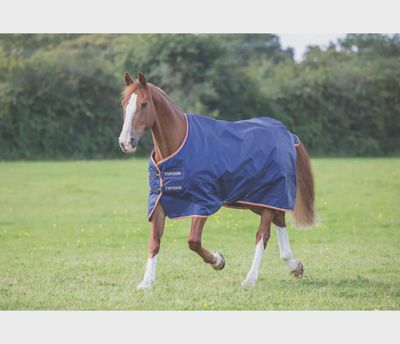 Shires Typhoon 100 Std