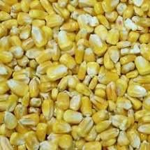 MMF Whole Maize 25kg