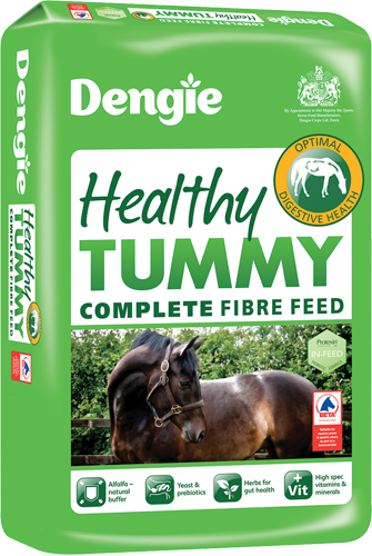 Dengie Healthy Tummy 20kg