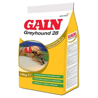 Time (Gain)  Greyhound 28