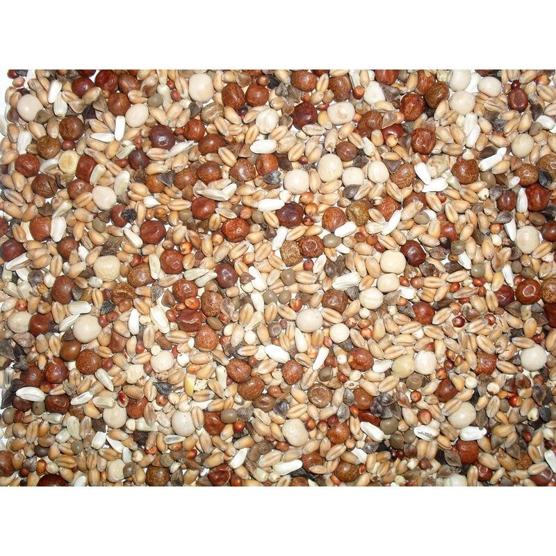 J&amp;J Squeaker Pigeon Corn 20kg