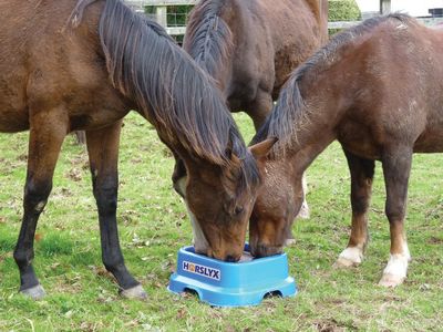 Horslyx 15kg Holder