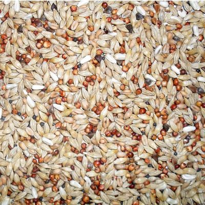 J&amp;J Euro Depurative Mix 20kg