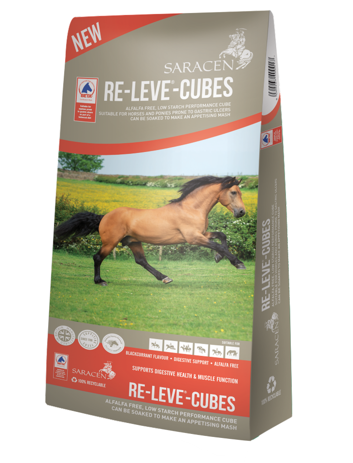 Saracen Re Leve Cubes 20kg