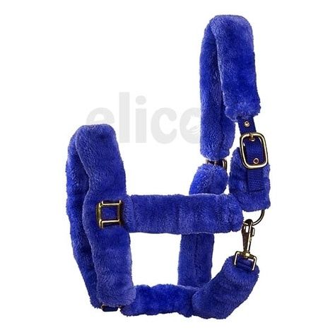 Kingston Headcollar