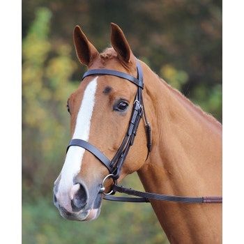 Shires Plain Bridle