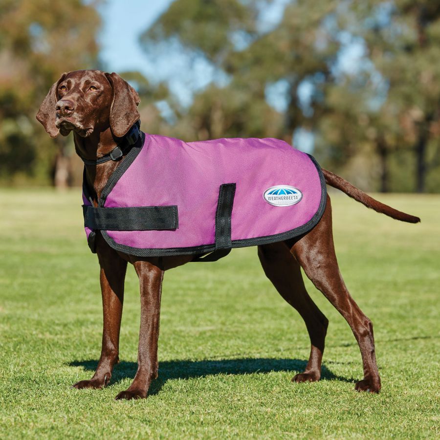 Comfitec Dog Rug