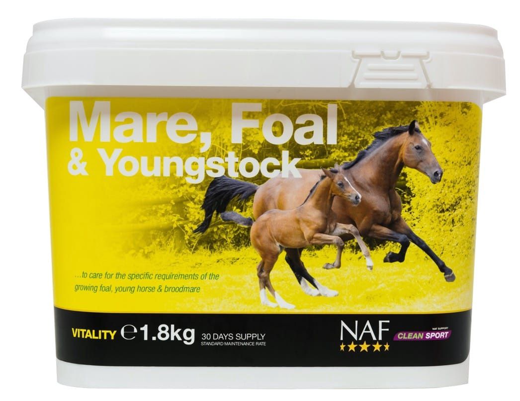 Naf Mare, Foal &amp; Youngstock
