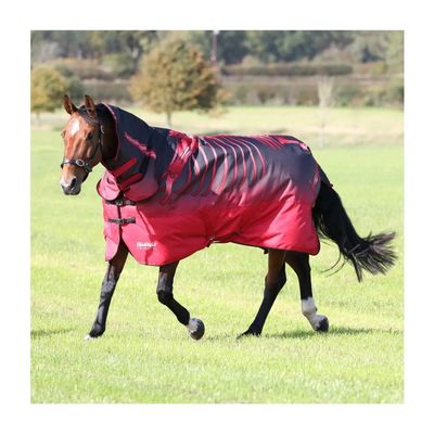 Shires Tempest 200g Combo