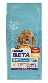 Beta Puppy - Chicken