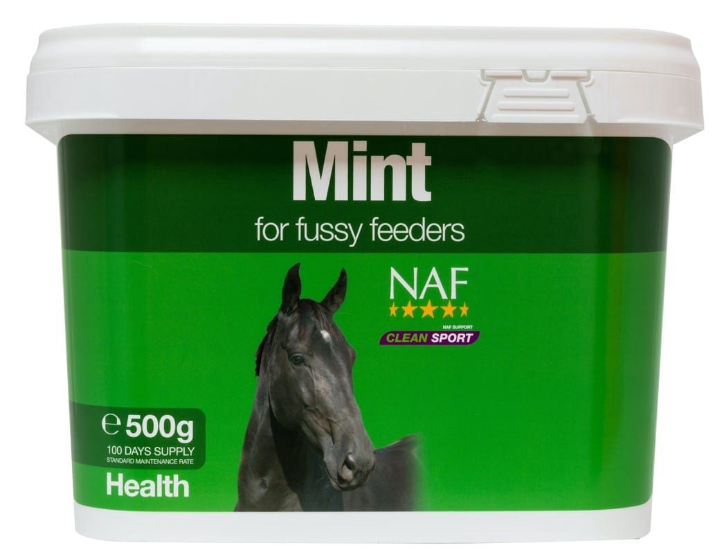 Naf Mint 500g