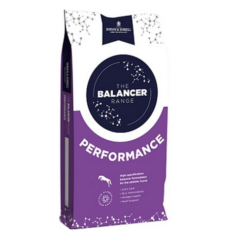 D&amp;H Performance Balancer