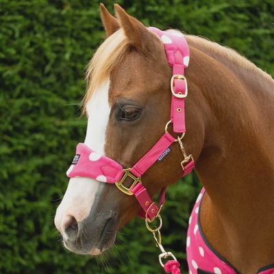 Supreme Products Dotty Fleece Headcollar &amp; Lead Rope