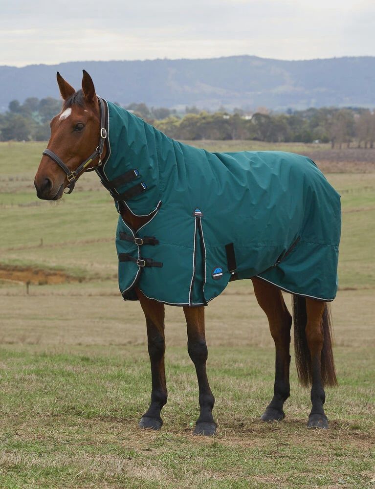 Weatherbeeta Comfitec Classic Combo