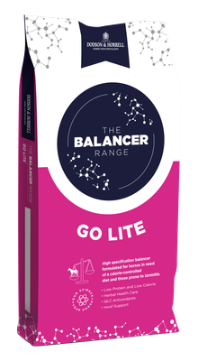 Dodson &amp; Horrell Go Lite Balancer 15kg