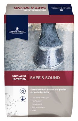 Dodson &amp; Horrell Safe &amp; Sound 18Kg