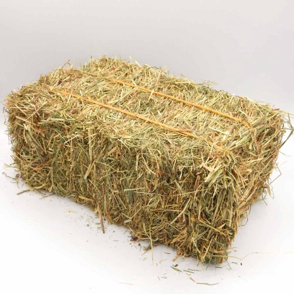 Hay Bale (small rectangle)