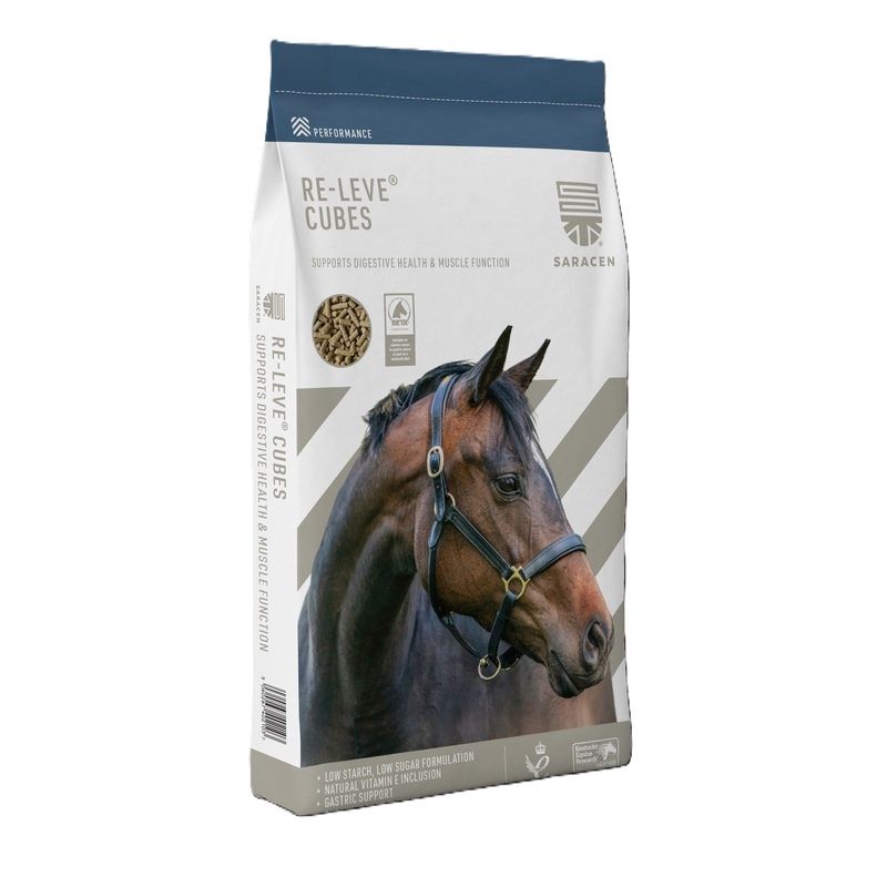 Saracen Re Leve Cubes 20kg