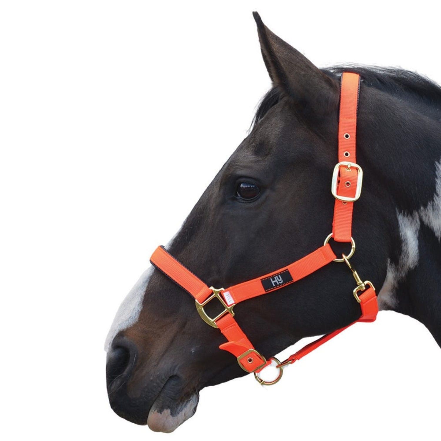 Hy Grand Prix Headcollar