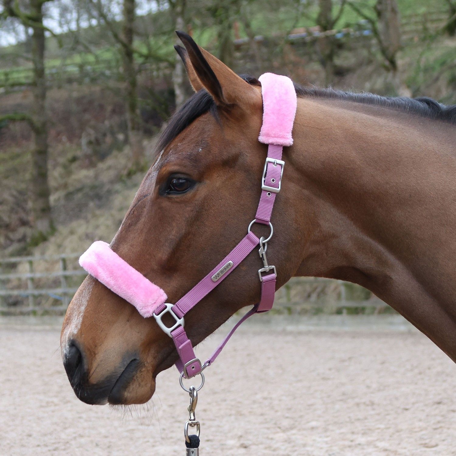 Whitaker Headcollar &amp; Lead Rope