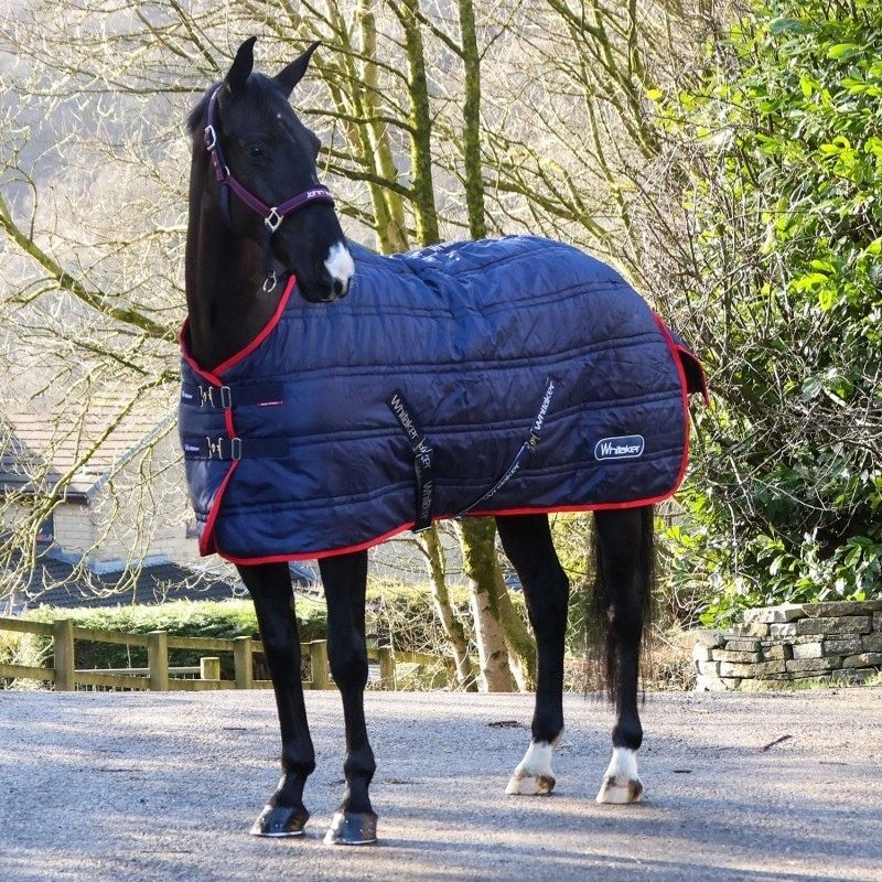 Whittaker Stable Rug 100g