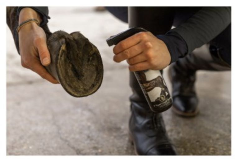 BR 3 Feet Hoof Spray