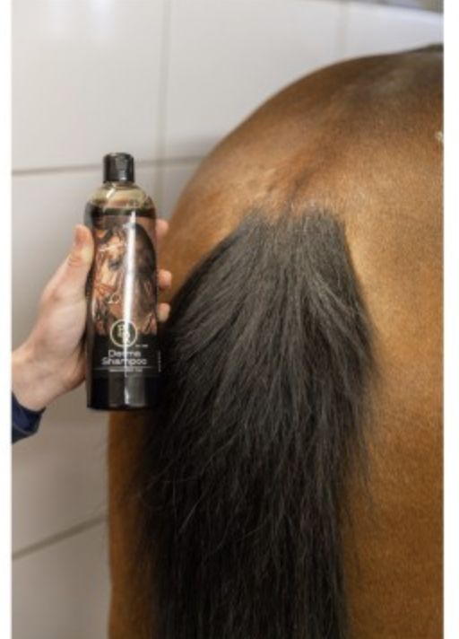 BR Derma Shampoo