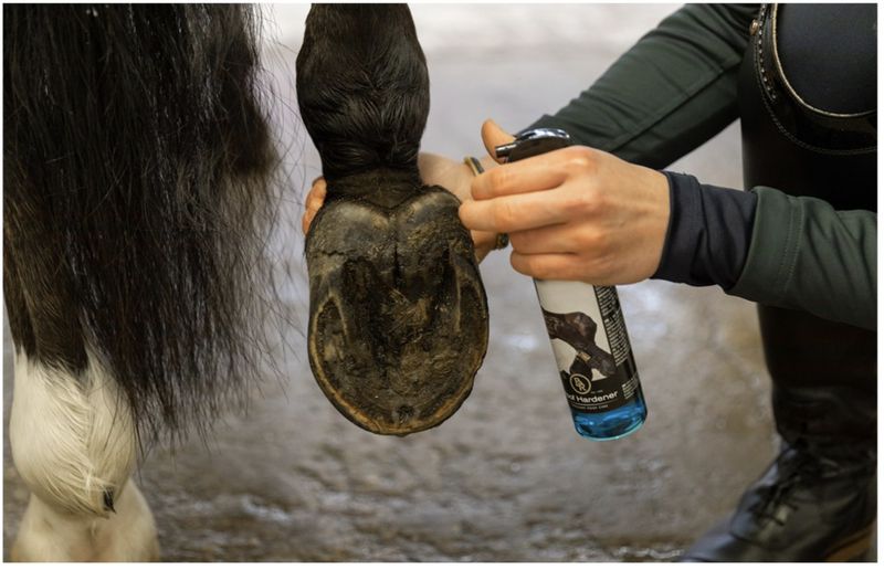 BR Hoof Hardener