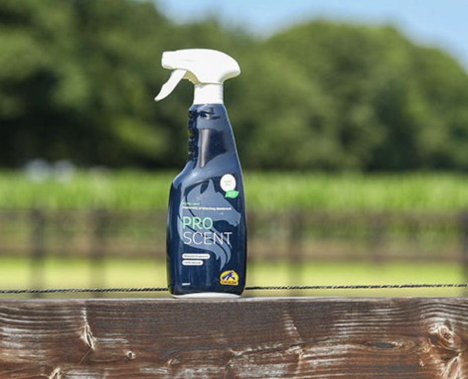 Cavalor ProScent