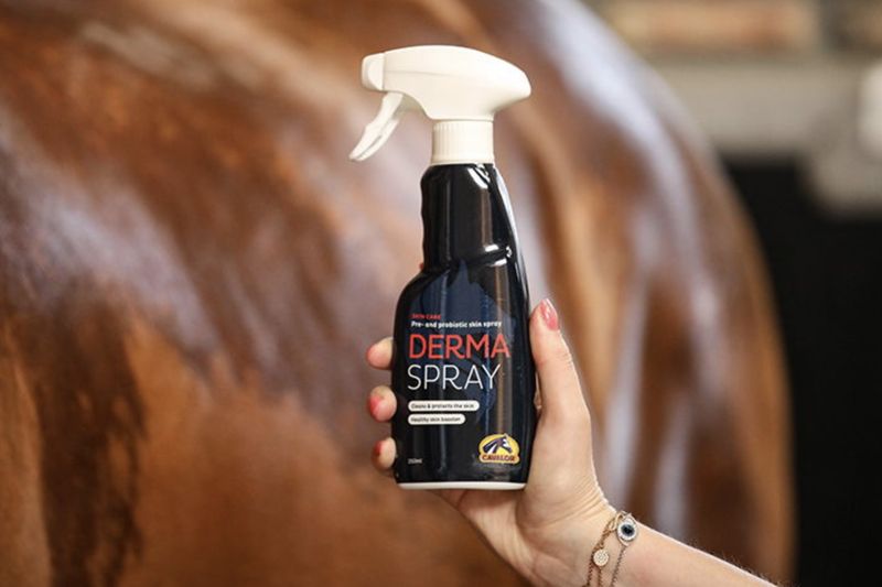 Cavalor DermaSpray
