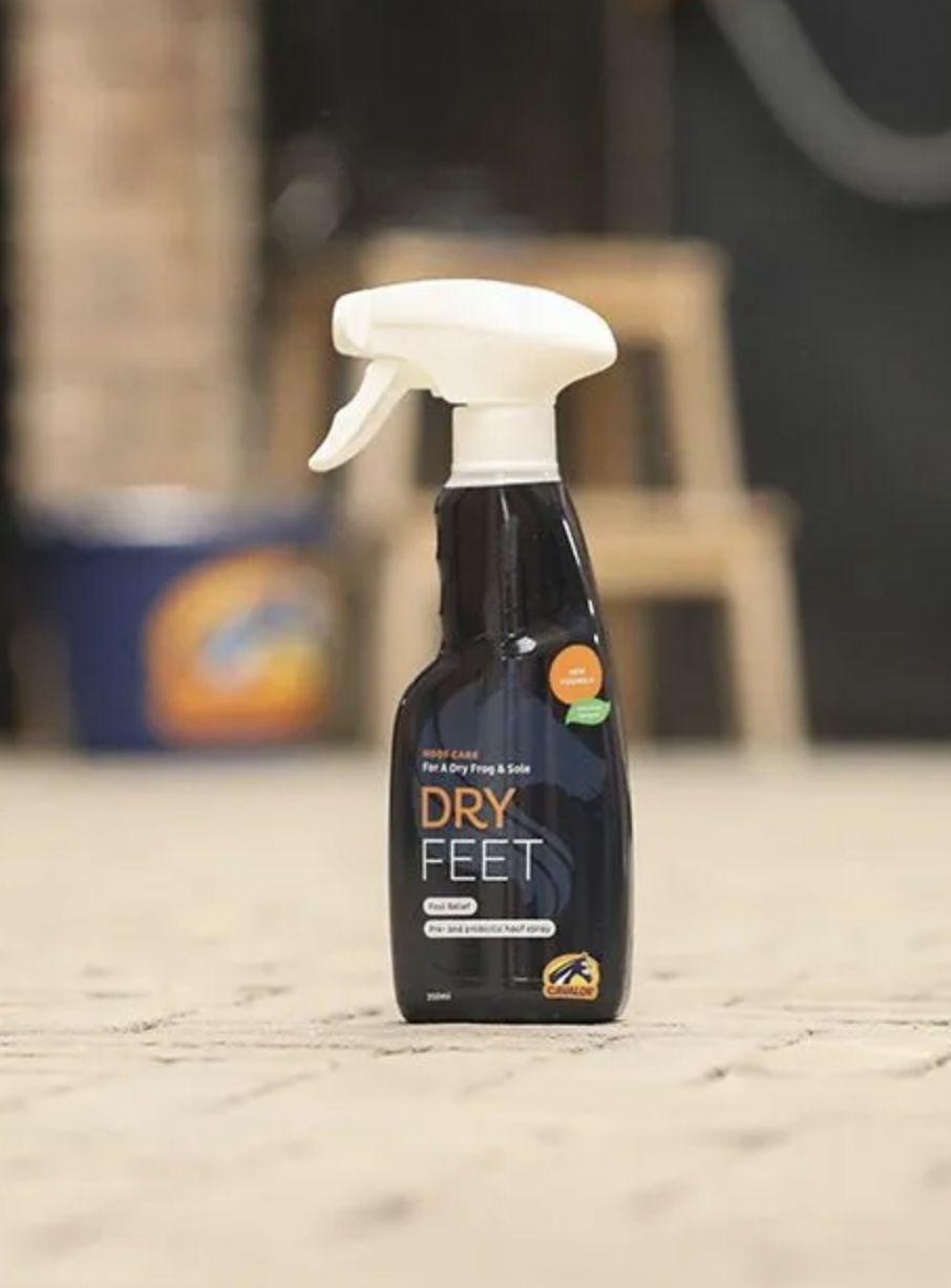 Cavalor DryFeet