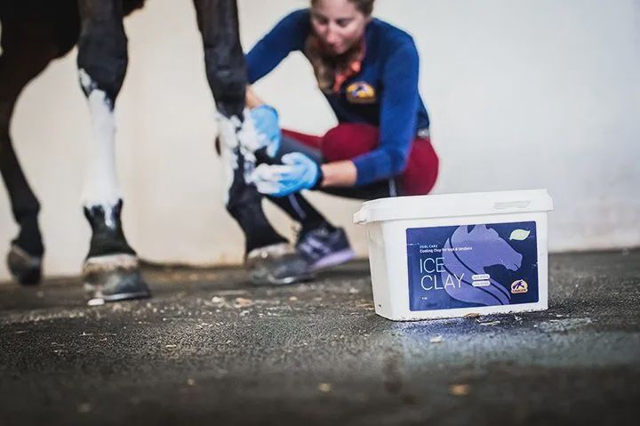 Cavalor Ice Clay 4kg